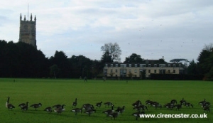 The Abbey Grounds