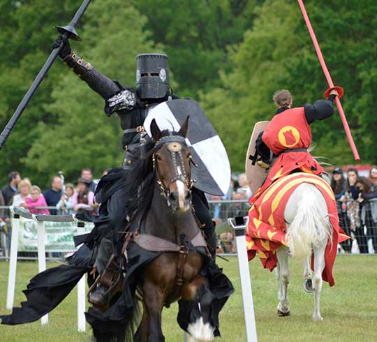 The Cotswold Show - Black Knight