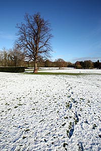 Cirencester and Cotswolds under a blanket of snow