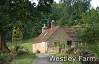 Westley Farm