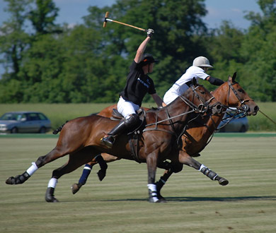 Cirencester Polo