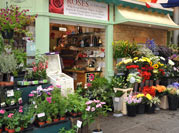 Roses Flower Shop