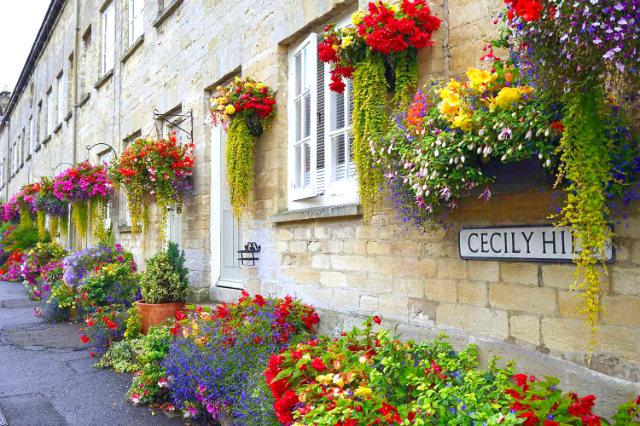 Flowers on display at Cecily Hill in Cirencester