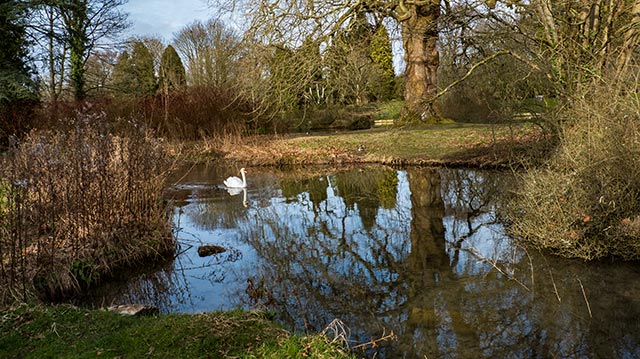 Abbey Grounds, Cirencester